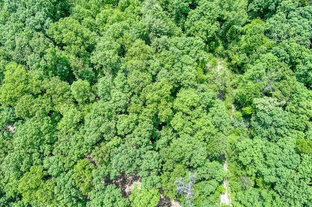 169 Woods Hollow Ln, Crossville, TN 38571 - photo 10