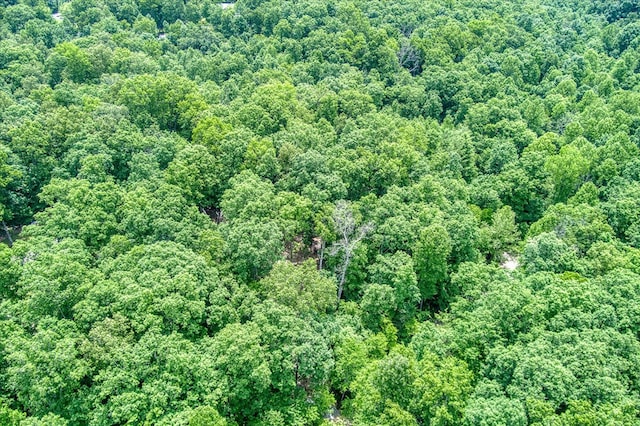 169 Woods Hollow Ln, Crossville, TN 38571 - photo 13