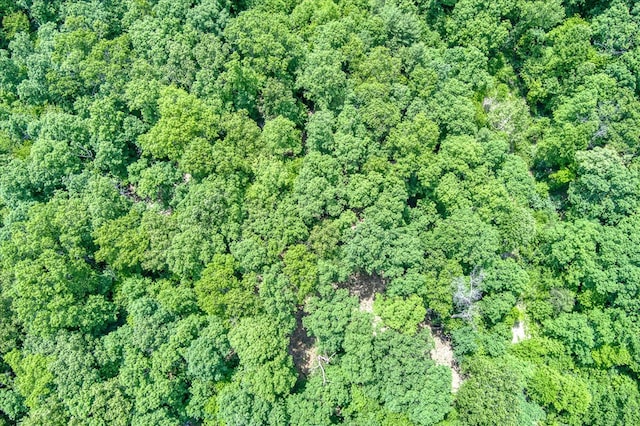 169 Woods Hollow Ln, Crossville, TN 38571 - photo 11