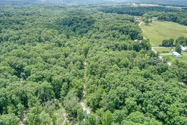 169 Woods Hollow Ln, Crossville, TN 38571 - photo 9
