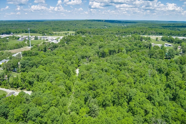 169 Woods Hollow Ln, Crossville, TN 38571 - photo 8