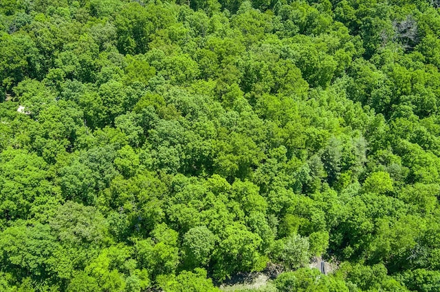 169 Woods Hollow Ln, Crossville, TN 38571 - photo 7