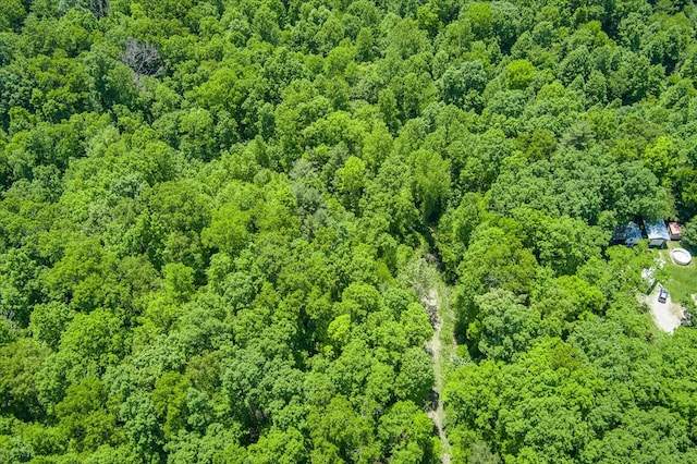 169 Woods Hollow Ln, Crossville, TN 38571 - photo 6
