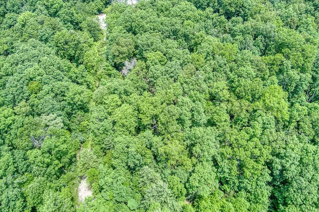 169 Woods Hollow Ln, Crossville, TN 38571 - photo 15