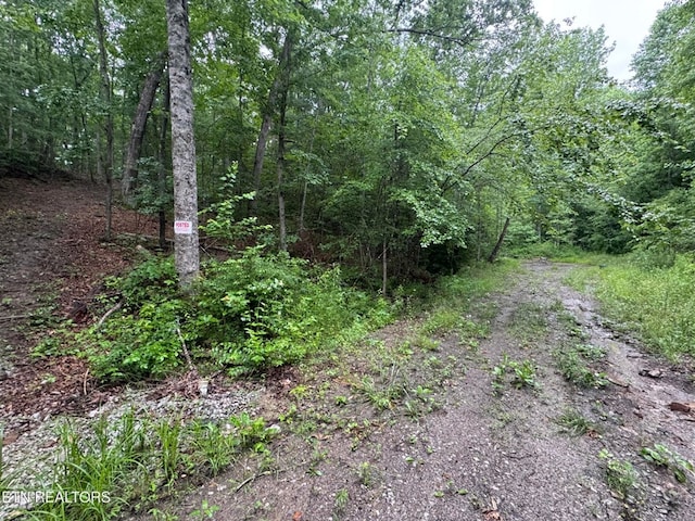 169 Woods Hollow Ln, Crossville, TN 38571 - photo 2