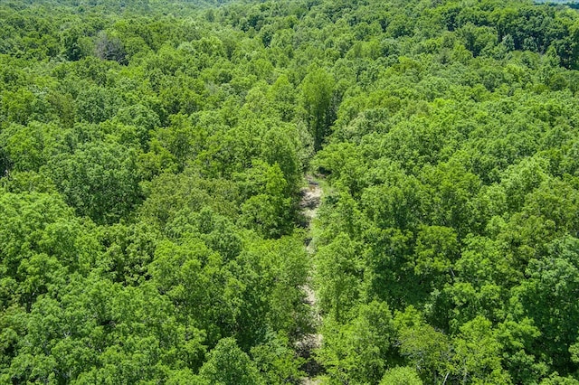 169 Woods Hollow Ln, Crossville, TN 38571 - photo 4