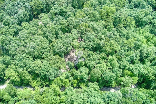 169 Woods Hollow Ln, Crossville, TN 38571 - photo 12