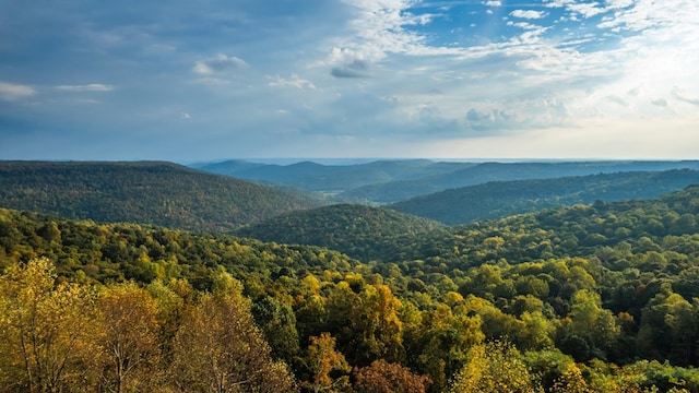 2582 Gap Rd, Altamont, TN 37301 - photo 3