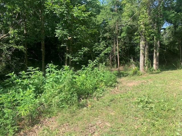 00 Pine Grove Rd, Spencer, TN 38585