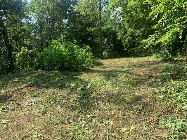 00 Pine Grove Rd, Spencer, TN 38585