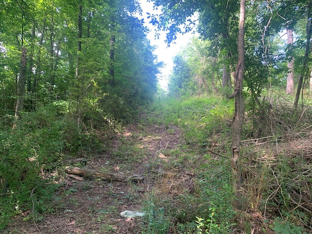 00 Pine Grove Rd, Spencer, TN 38585