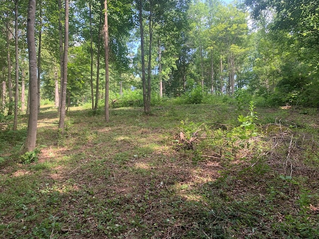 00 Pine Grove Rd, Spencer, TN 38585