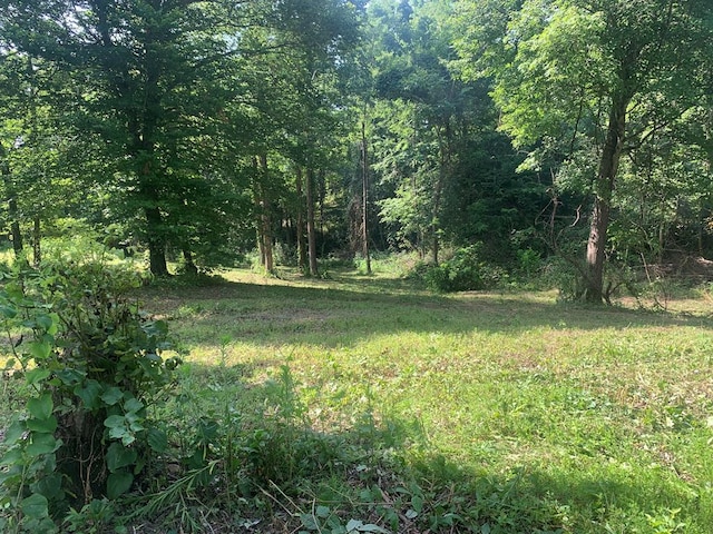 00 Pine Grove Rd, Spencer, TN 38585