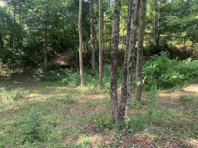 00 Pine Grove Rd, Spencer, TN 38585