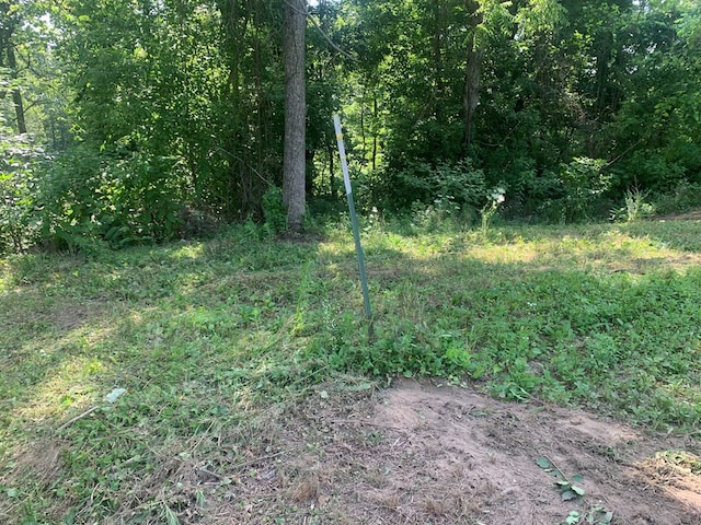 00 Pine Grove Rd, Spencer, TN 38585