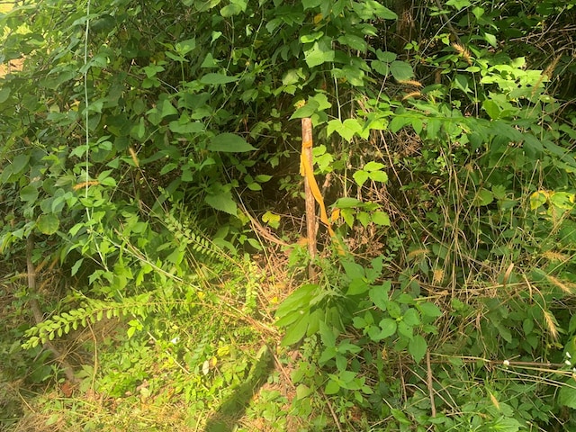 00 Pine Grove Rd, Spencer, TN 38585