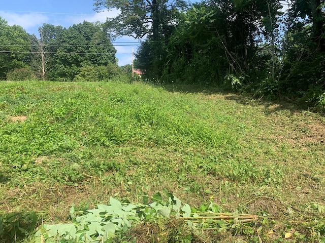 00 Pine Grove Rd, Spencer, TN 38585
