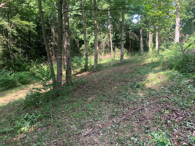 00 Pine Grove Rd, Spencer, TN 38585