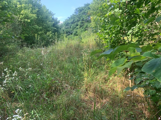 00 Pine Grove Rd, Spencer, TN 38585