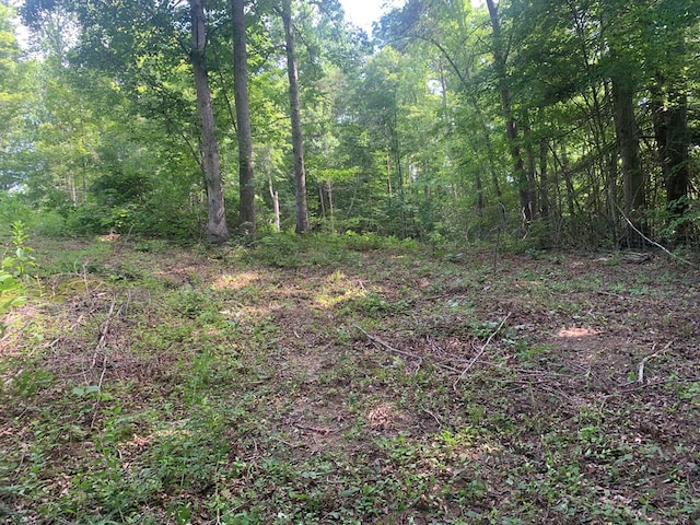 00 Pine Grove Rd, Spencer, TN 38585