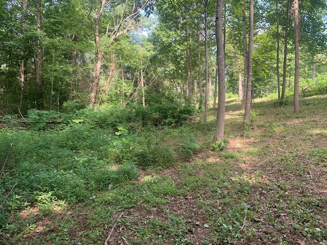00 Pine Grove Rd, Spencer, TN 38585