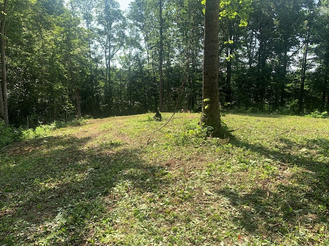 00 Pine Grove Rd, Spencer, TN 38585