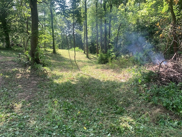 00 Pine Grove Rd, Spencer, TN 38585