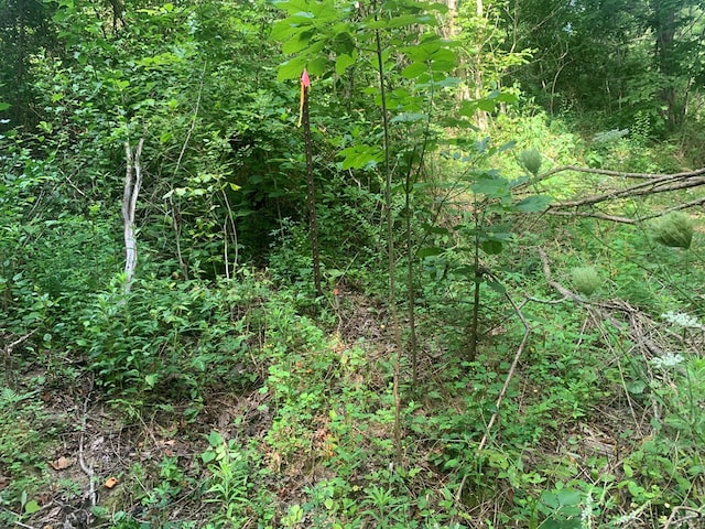 00 Pine Grove Rd, Spencer, TN 38585