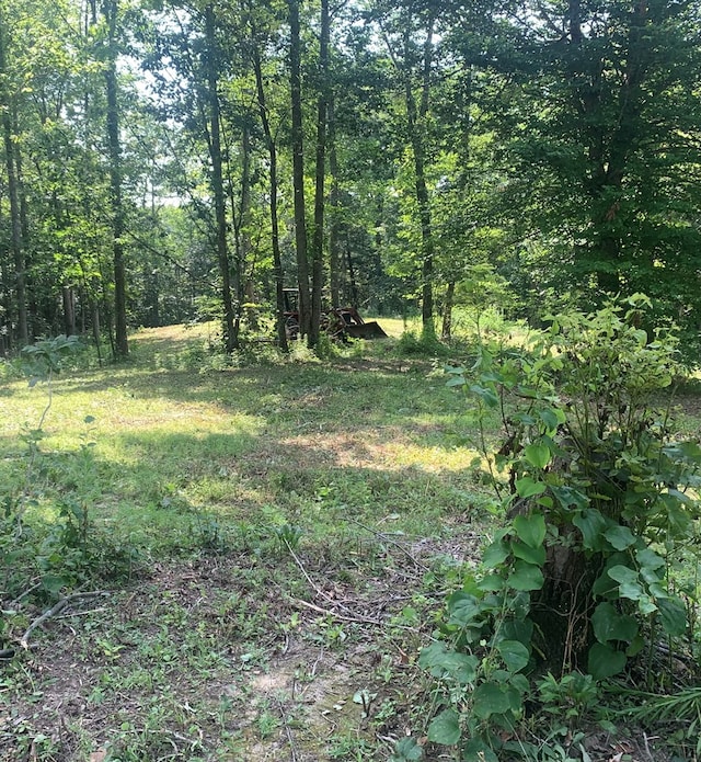 00 Pine Grove Rd, Spencer, TN 38585