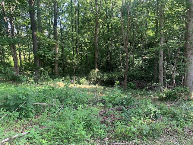 00 Pine Grove Rd, Spencer, TN 38585