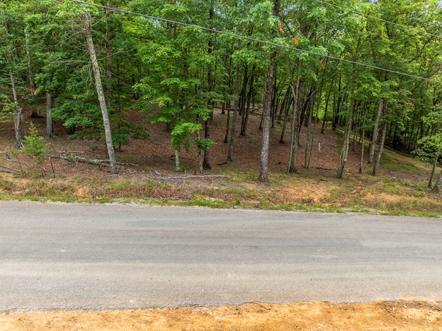 3.21AC Eagle Rock Rd, Monteagle, TN 37356 - photo 21