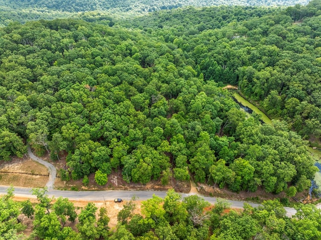 3.21AC Eagle Rock Rd, Monteagle, TN 37356 - photo 4