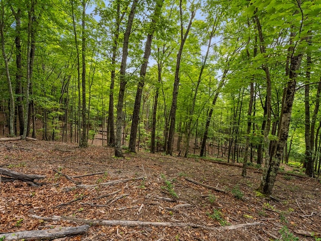 3.21AC Eagle Rock Rd, Monteagle, TN 37356 - photo 11