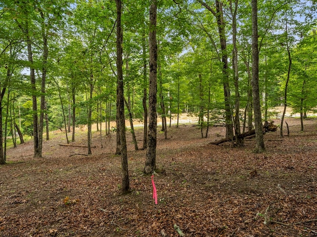 3.21AC Eagle Rock Rd, Monteagle, TN 37356 - photo 23