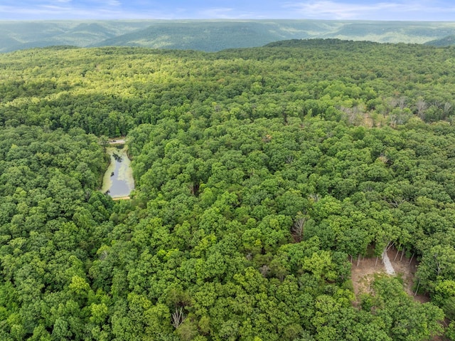 3.21AC Eagle Rock Rd, Monteagle, TN 37356 - photo 6