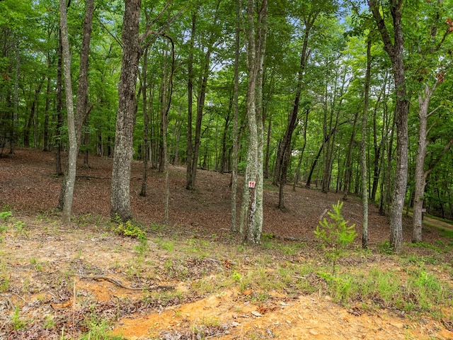 3.21AC Eagle Rock Rd, Monteagle, TN 37356 - photo 22