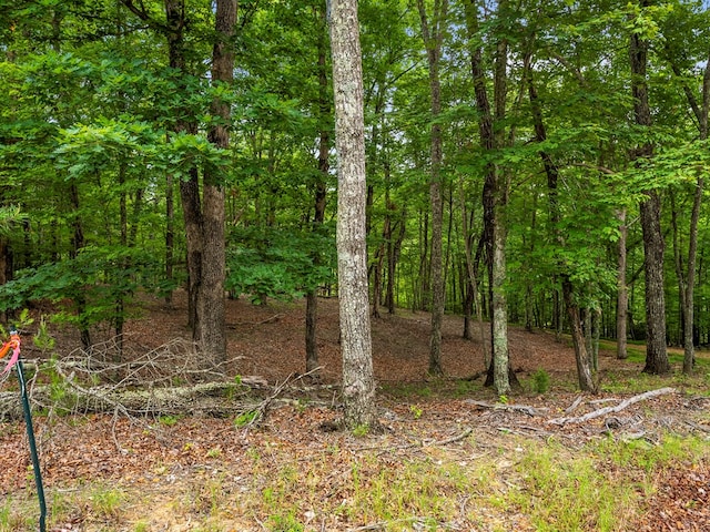 3.21AC Eagle Rock Rd, Monteagle, TN 37356 - photo 18
