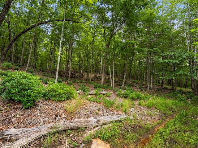 3.21AC Eagle Rock Rd, Monteagle, TN 37356 - photo 14