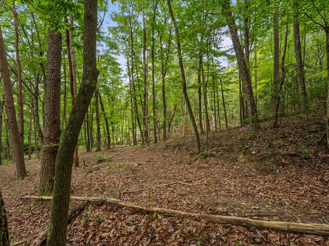 3.21AC Eagle Rock Rd, Monteagle, TN 37356 - photo 15