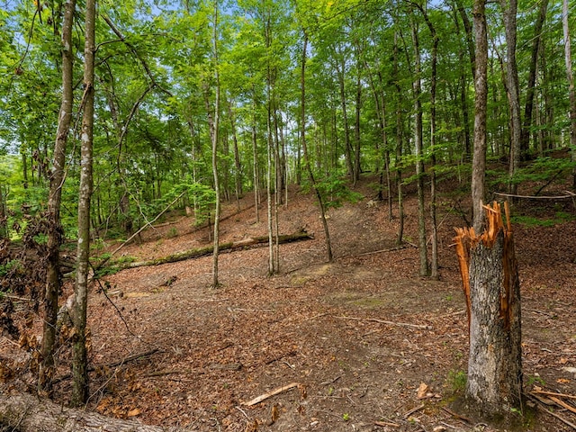 3.21AC Eagle Rock Rd, Monteagle, TN 37356 - photo 24