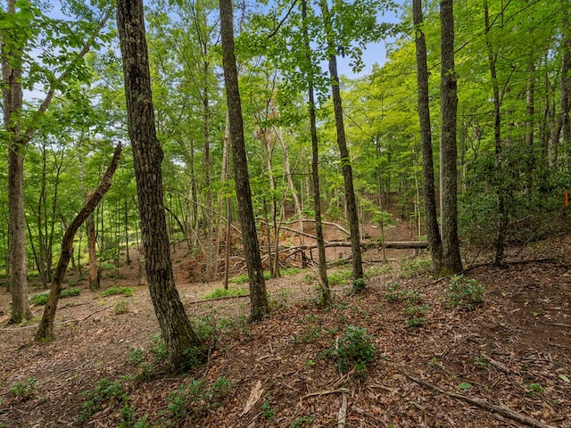 3.21AC Eagle Rock Rd, Monteagle, TN 37356 - photo 16