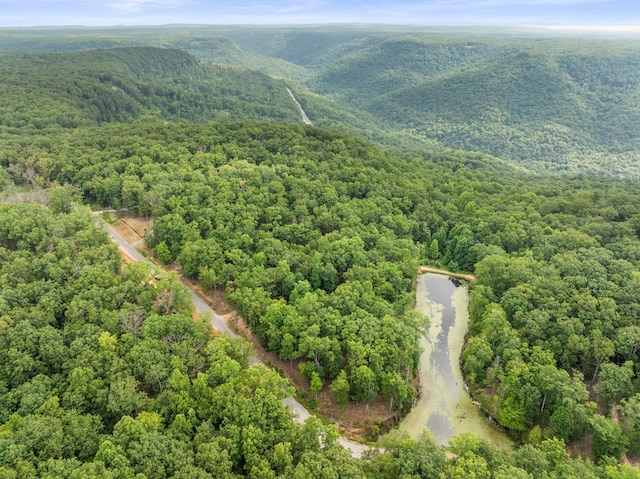 3.21AC Eagle Rock Rd, Monteagle, TN 37356 - photo 3