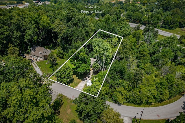 811 Greenfield Dr, Livingston, TN 38570 - photo 28