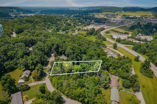 811 Greenfield Dr, Livingston, TN 38570 - photo 29