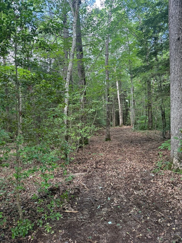 00 Acorn Ln, Jamestown, TN 38556 - photo 2