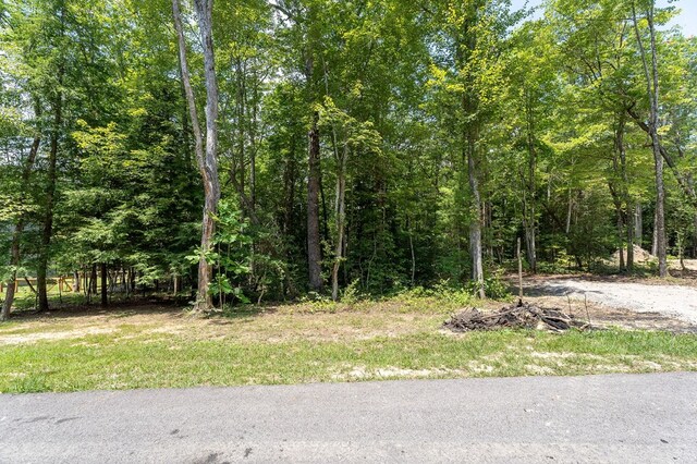 00 Acorn Ln, Jamestown, TN 38556 - photo 25