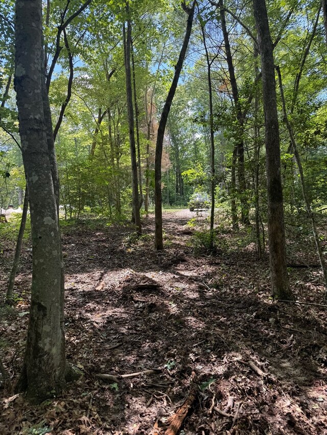 00 Acorn Ln, Jamestown, TN 38556 - photo 9