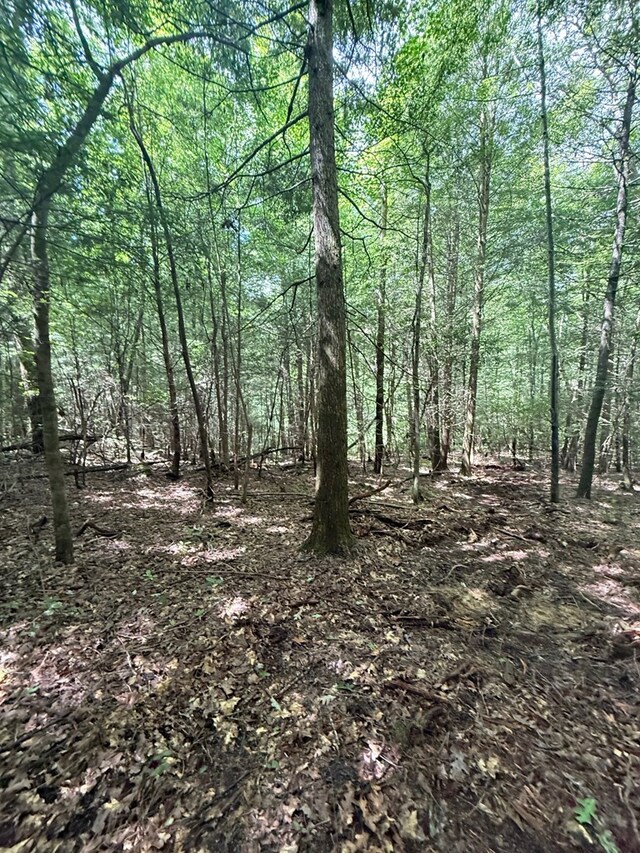 00 Acorn Ln, Jamestown, TN 38556 - photo 7