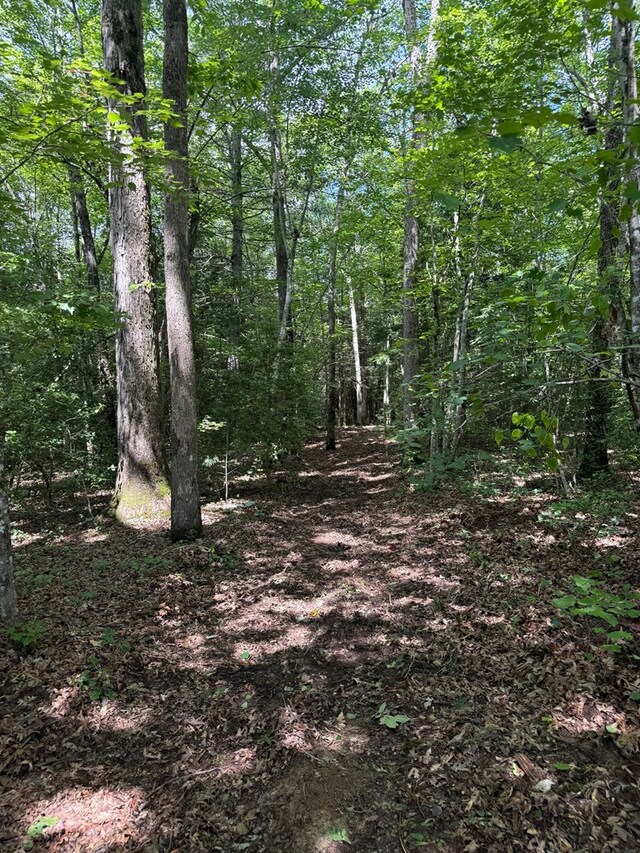 00 Acorn Ln, Jamestown, TN 38556 - photo 8