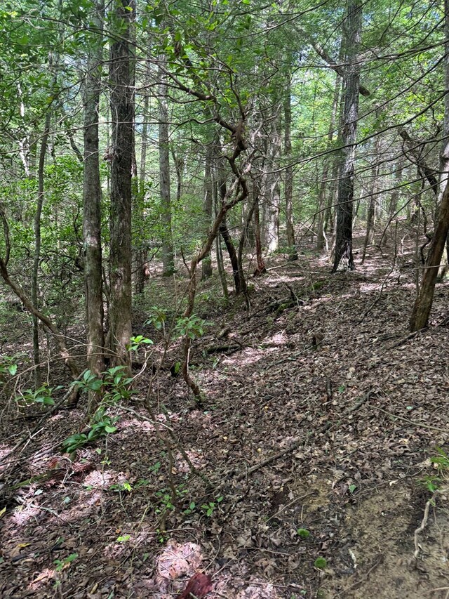 00 Acorn Ln, Jamestown, TN 38556 - photo 6